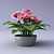 Breathtaking Gloxinia in a Pot 3D model small image 2