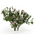 Serissa Foetida: Beautiful & Fragrant Flora 3D model small image 1