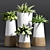 Modern Decorative Plant Set 3D model small image 1