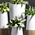 Modern Decorative Plant Set 3D model small image 2