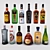 Connoisseur's Collection: Alcoholic Beverages 3D model small image 1