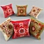 Handcrafted Sahtian Leather Pillows 3D model small image 1