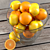 3D Citrus Fruit Set 3D model small image 2