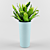 Lush Asplenium: Compact 30cm Plant 3D model small image 1