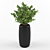 Kinki: Exquisite Ficus Tree 3D model small image 1