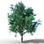 PolyHighTree: High-polygon Tree with Materials 3D model small image 1