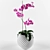 Vampiric Orchid: The Energetic Indoor Flower 3D model small image 1