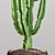 Archived Cactus Model with Textures & Materials 3D model small image 2