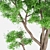 20-Tree: High Poly, Ultimate Joy 3D model small image 2