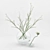 Blossom Duo: Varying Vases, Twin Plants 3D model small image 1