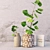 Elegant Kolya Vase with Gingo Branch 3D model small image 1