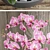 Elegant Orchid Bouquet 3D model small image 2
