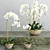 Elegant Orchid 2: 3D Flower Model 3D model small image 1