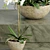 Elegant Orchid 2: 3D Flower Model 3D model small image 2