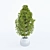 Elegant Potted Plant for Home Decor 3D model small image 1