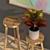 Brass Calypso Stool: Elegant Gold Accent 3D model small image 2