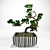 Miniature Pine Bonsai: Precise Replica in Stunning Detail 3D model small image 1