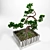 Miniature Pine Bonsai: Precise Replica in Stunning Detail 3D model small image 2