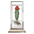 Stylish Cactus Stand: Vase Included 3D model small image 2