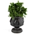 Lush Greenery in a Pot 3D model small image 1
