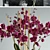 Orchid 6: High-Quality Flower 3D Model 3D model small image 2