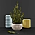 Rosemary Vases: Aromatic and Stylish 3D model small image 1