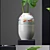 Leafy Haven: Modern Vases with Monstera Leafs 3D model small image 2