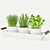 Freshly Potted Herbs: Rosemary, Mint, Green Onion 3D model small image 1