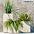 Versatile Greenery Set: PLANTS 60 in Crate&Barrel Pots 3D model small image 1