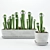 Eye-catching Cactus Duo in Vases 3D model small image 1