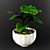 Stunning Calathea Zebrina: Perfect for Any Decor 3D model small image 1