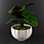 Stunning Calathea Zebrina: Perfect for Any Decor 3D model small image 2