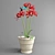 Lycoris: Exquisite Amaryllis Blooms 3D model small image 1