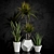 Fresh & fabulous houseplants 3D model small image 1