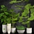 Indoor Plants Collection 3D model small image 1