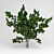Naturalistic Garden Tree 3D model small image 1