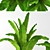 Tropical Bliss: Banana Palm 3D model small image 2