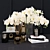 Aromatique Orchid & Book Decor Set 3D model small image 1