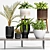 Elegant Planters Set -50% 3D model small image 1