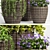 Maxima Decor Set: PLANT-51 3D model small image 3