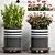 Modern Planter Set - Max Compatibility 3D model small image 1