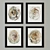 Artistic Frames Collection 3D model small image 1