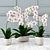 Ethereal White Orchids 3D model small image 1