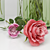 Romantic Rose Water Droplets 3D model small image 2