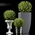 Lush Greenery Collection 3D model small image 1