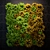 Green Wall Module: Fitostena 3D model small image 1