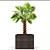 Washington Palm Tree Set 3D model small image 2