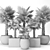 Washington Palm Tree Set 3D model small image 3