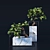  Exquisite Bonsai Tree - Realistic 3D Model 3D model small image 3