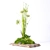 Natural Stone Decor with Moss and Meadow Plants 3D model small image 1